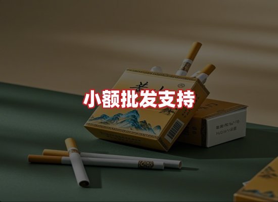 专业团队
